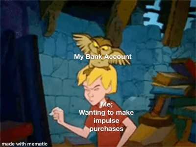 I just want to buy fun things! Bills are for the birds, man...