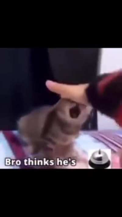 🛎️