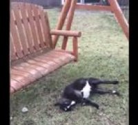Oh no he fell