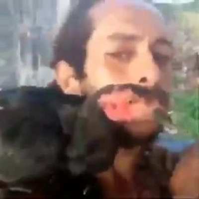 Esse papagaio é raro