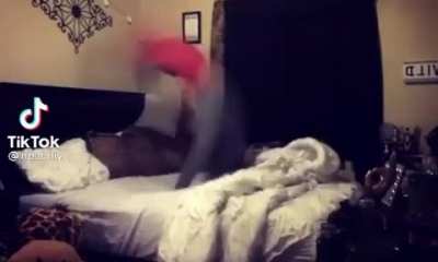 Backflip