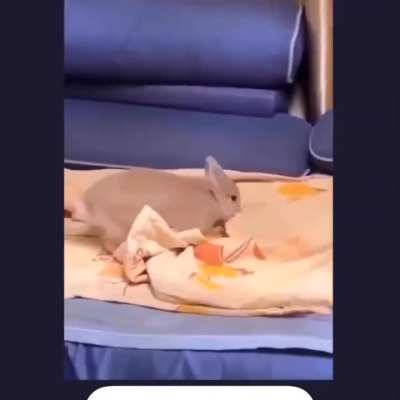 A mimir 