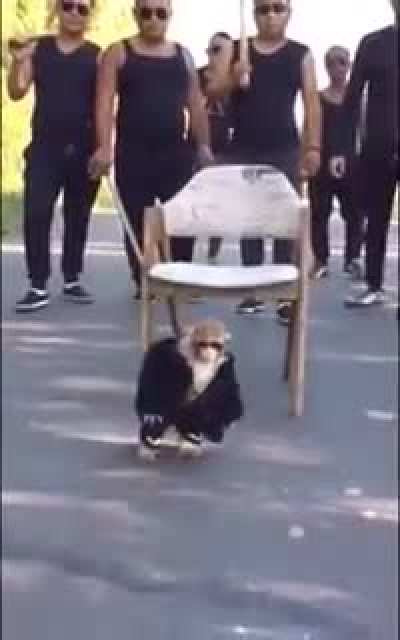 YOOO MONKE DRIPPIN!