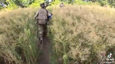 Colombian and Brazilian volunteers survive extremely close fire-summer 2024