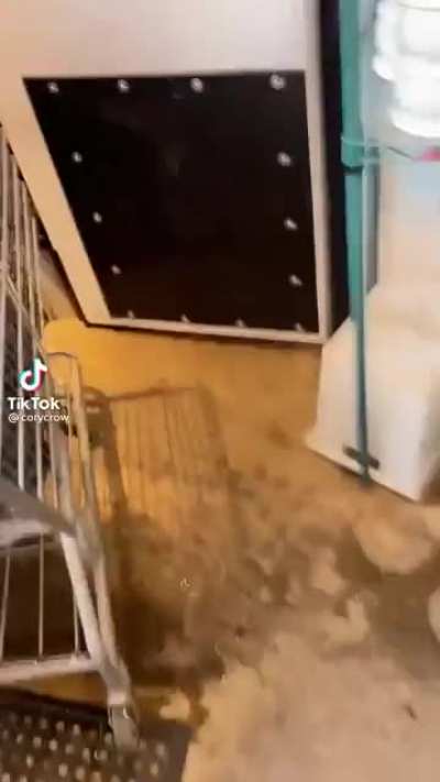 10/10 sound proofing