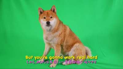 you can do it!
