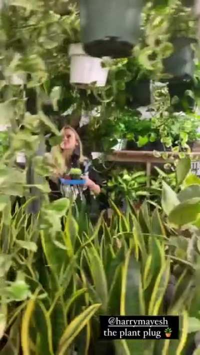 the plant plug