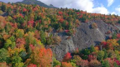 North Carolina Fall Foliage from 10/7/2020