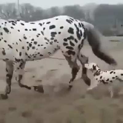 When you meet your soulmate