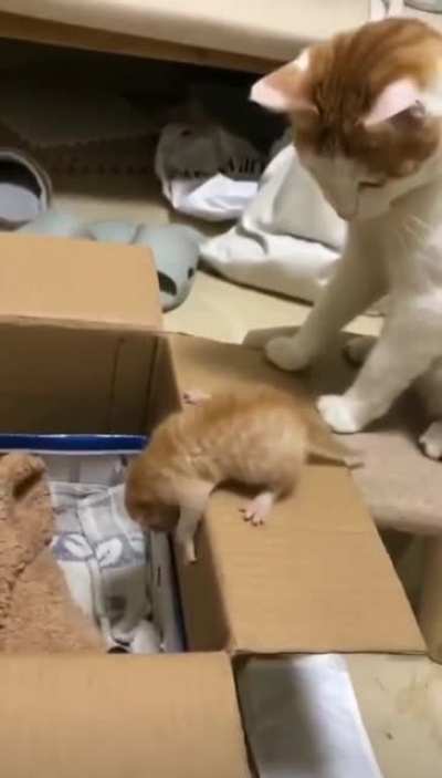 Mama give you a hand here!