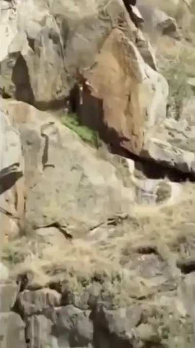 Не шмог