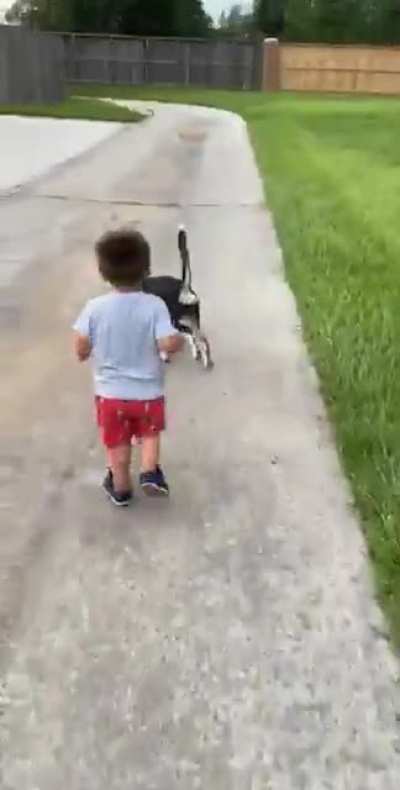 Not the loudest scream, but perfectly cut!