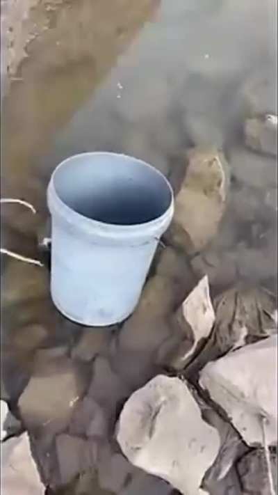 Régis à la pêche