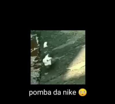 Pomba da Nike 🤚😎