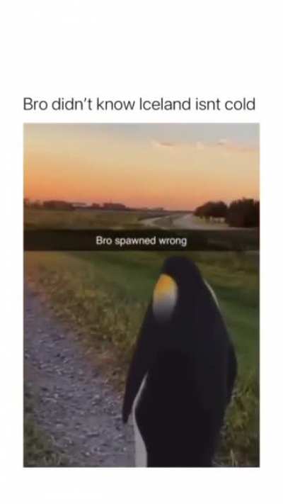 :Dd