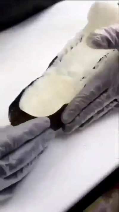 Shoe