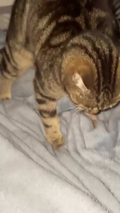 Meet Lily