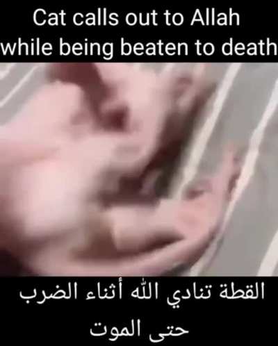 Khat