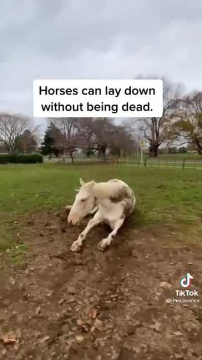 Best one yet