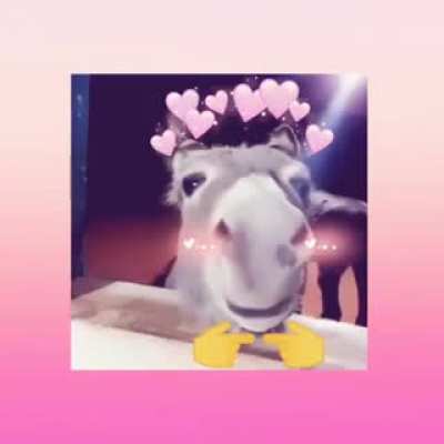 fofo