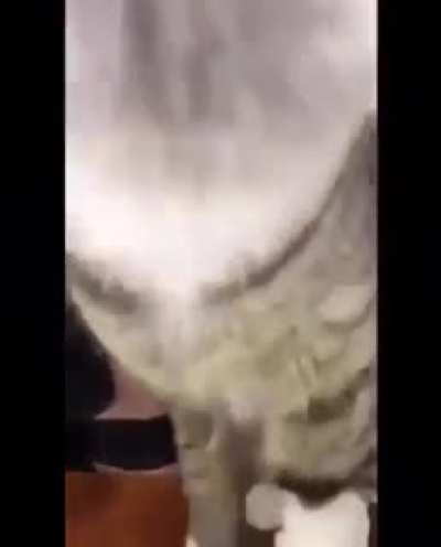 Show you underwear