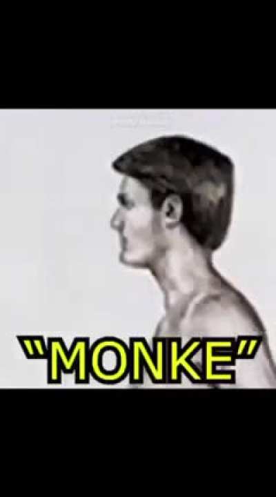 MoNkE