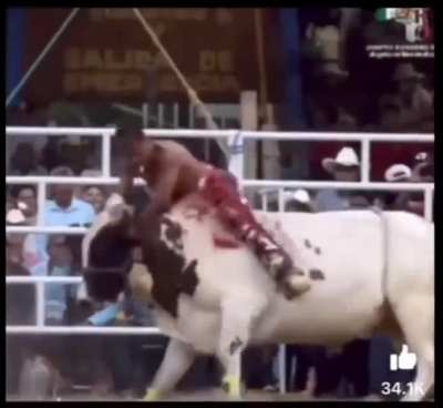 El amansa bestias