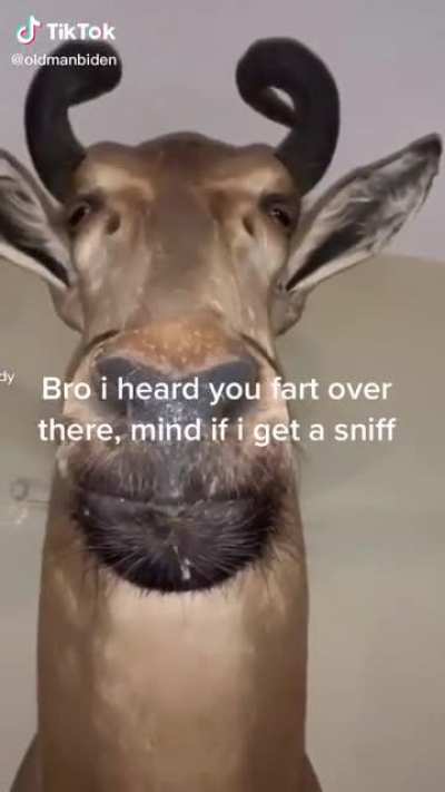 *sniffs intensely*
