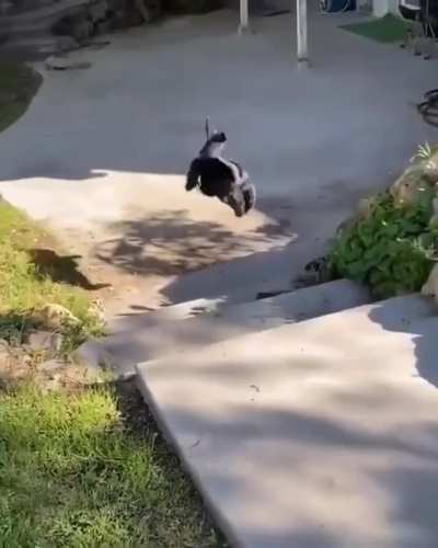 Run twist spin