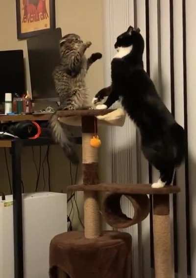 They are so gentle.