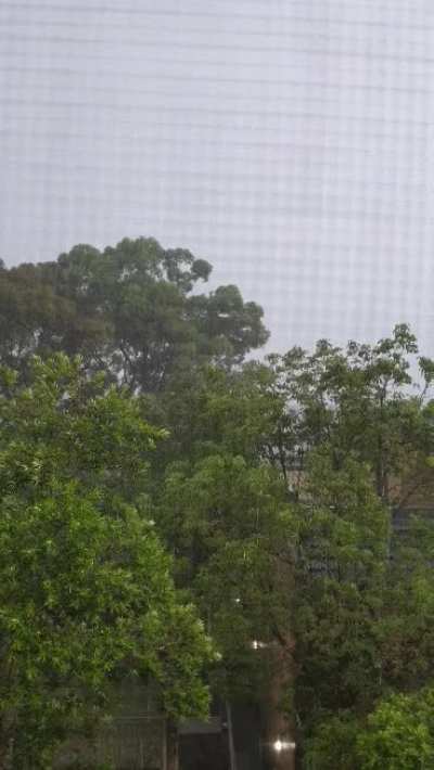 Hail-lelujah Sydney