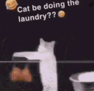Rule