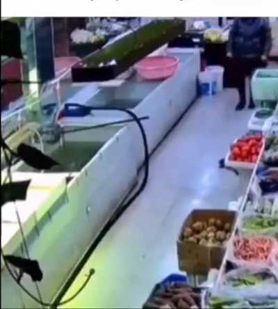 Fish