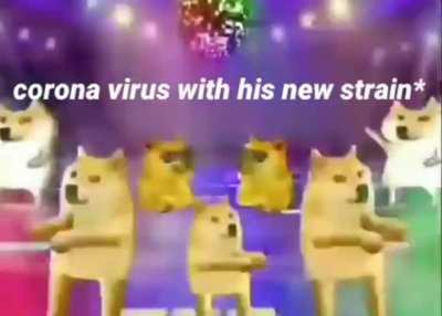 2020 goes brrrrr