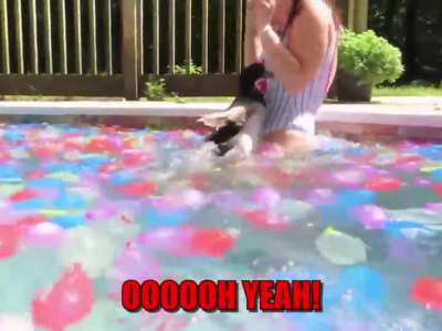 Water Balloons