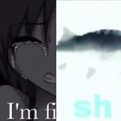 NO😭😭😭