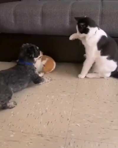 Dont Touch Her