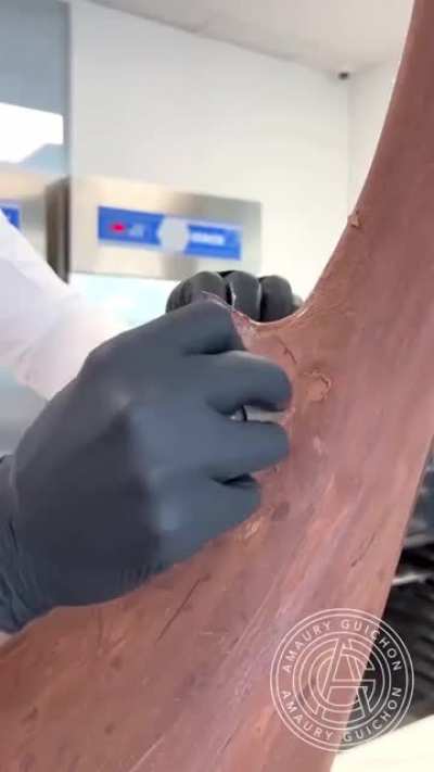 Amaury Guichon makes a chocolate shark.