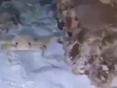 (≧∀≦)