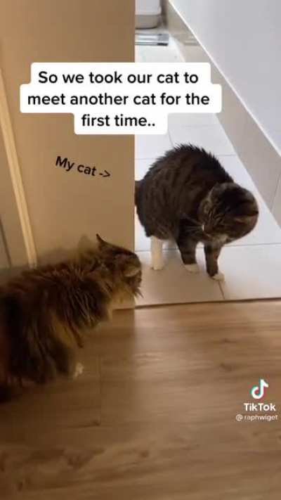 It happens😮‍💨
