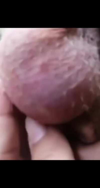 Is that what I think it is?
