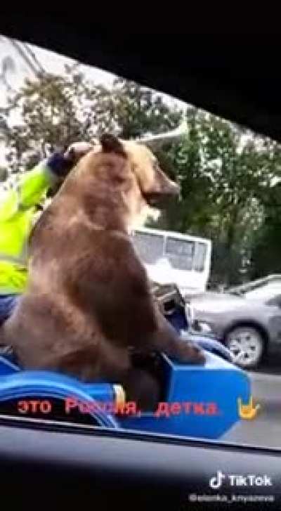 Russian bear puts things in order