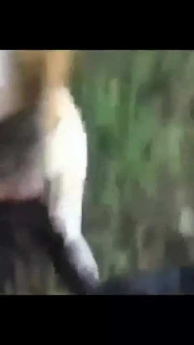 man yeets gator into lake