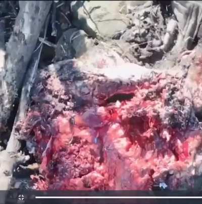 FOV drone exposes Russian soldier chest cavity. High DEF drone camera records overh<wbr>ead.
<wbr>Date: Unknown