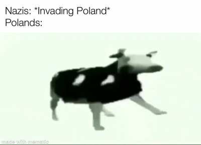 I love this cow
