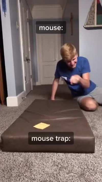 Ratatouille 2