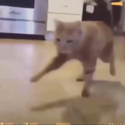♿