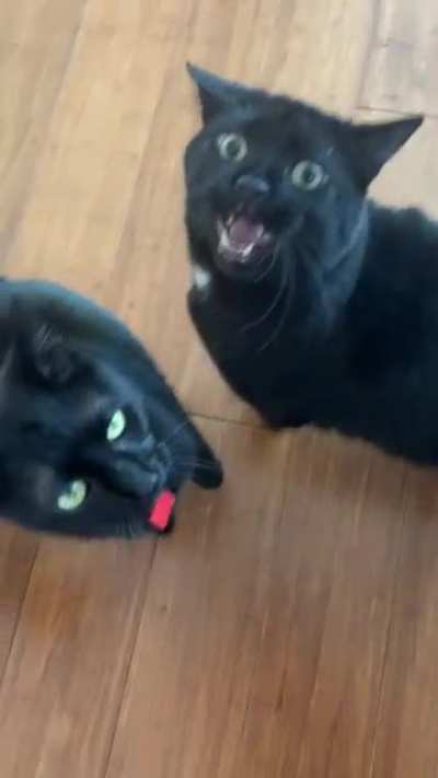 It’s the crazy eyes for me.