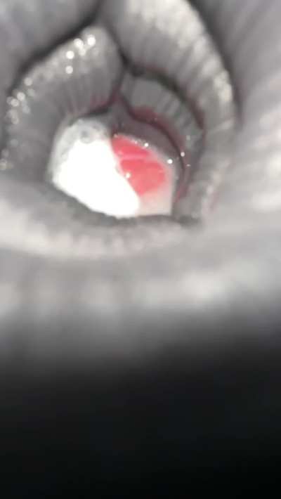 Pounding Bad Dragon Nix and cumming inside