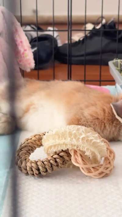 eepy